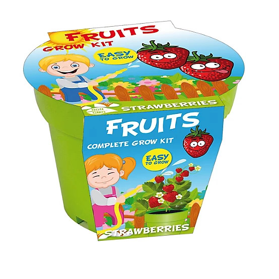 TotalGreen Holland  Veggies & Fruits seed kits for kids Strawberry | Tractor Supply
