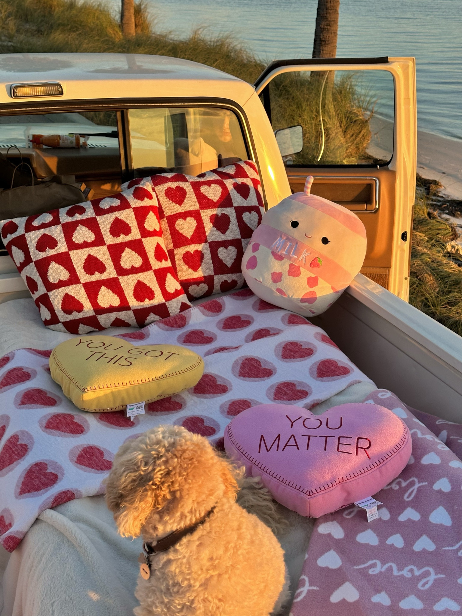 valentines picnic 💌

#LTKSeasonal #LTKGiftGuide #LTKhome