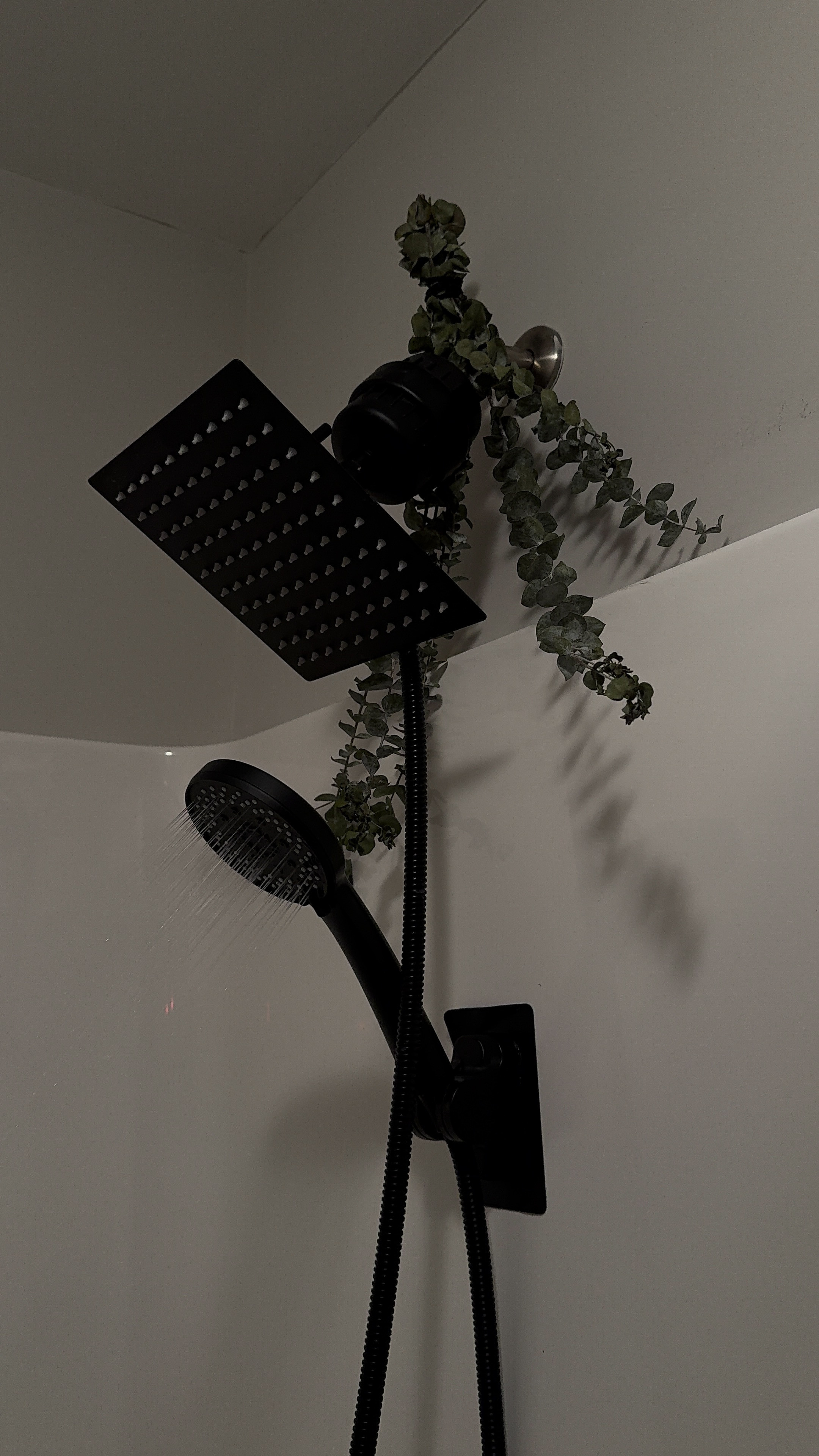 shower decor 

#LTKHome #LTKWatchNow