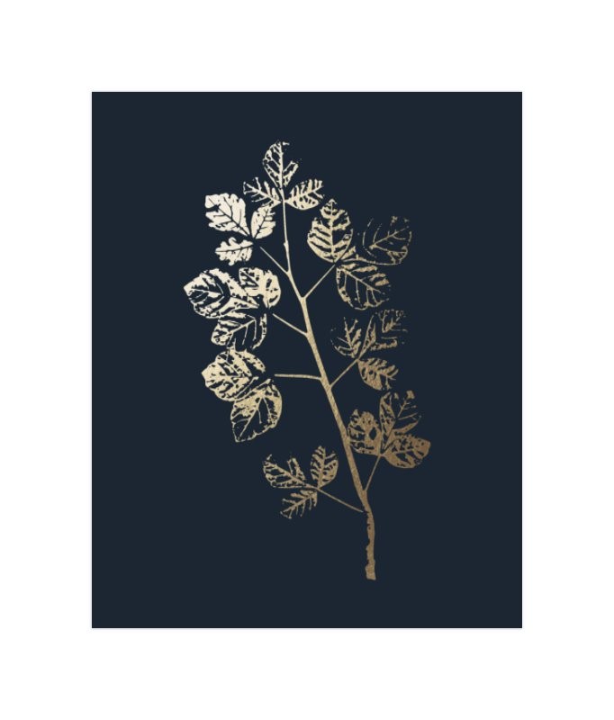 Fragrant Sumac Branch | Minted