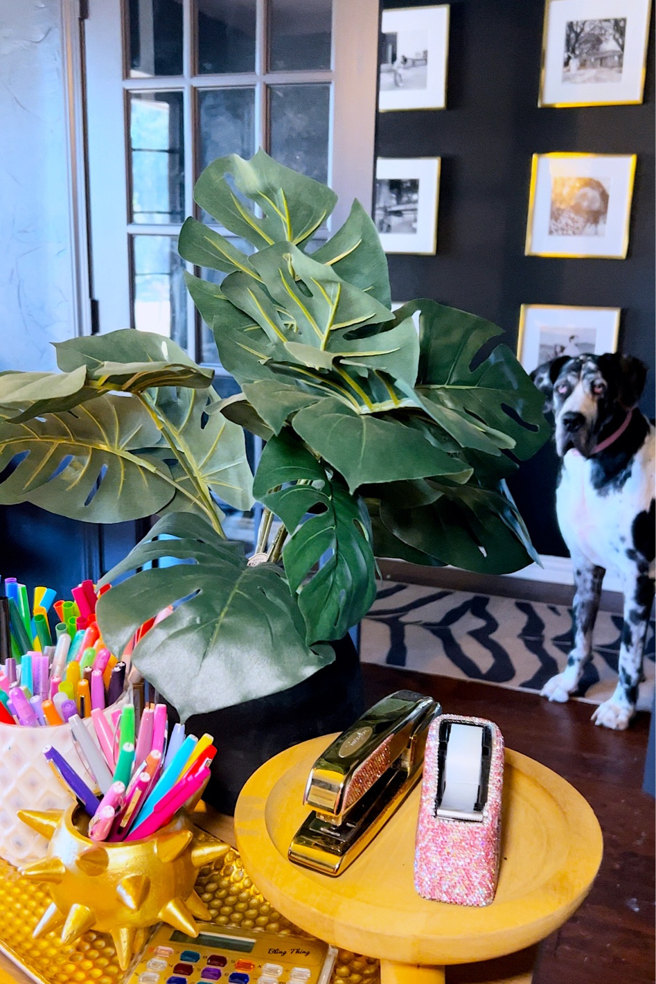 Office
Home Office
Home decor
Stationary
Desk
Teacher
Amazon

#LTKhome #LTKstyletip #LTKBacktoSchool