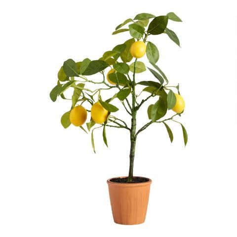 Faux Lemon Tree | World Market