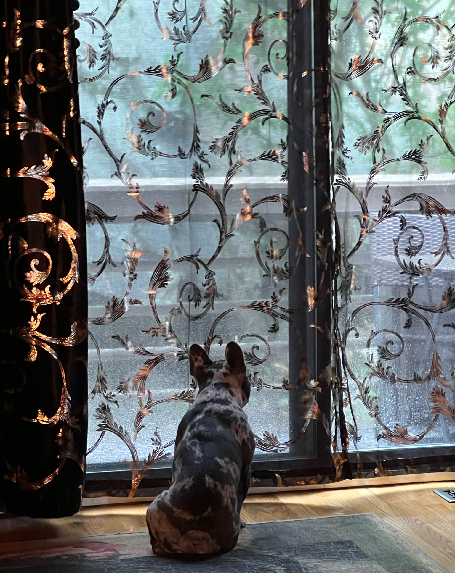 Most beautiful curtains ever! 

#LTKstyletip #LTKFind #LTKhome