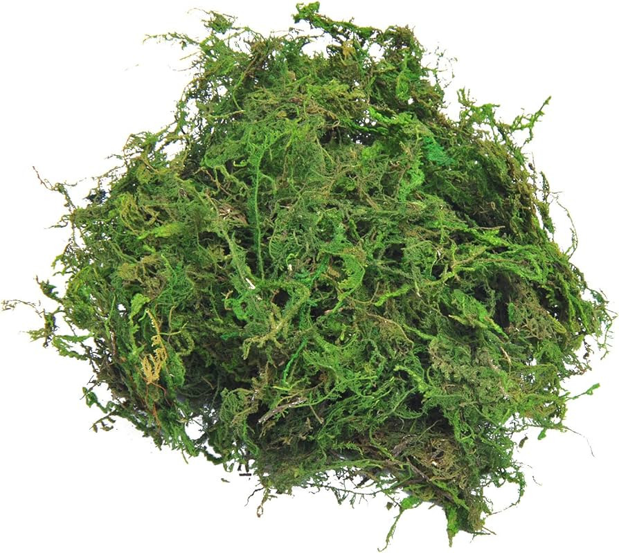 TOPCOMWW Fake Moss for Centerpieces Decor, Aftificial Green Moss for Plant Crafts Flower, 3.5oz | Amazon (US)