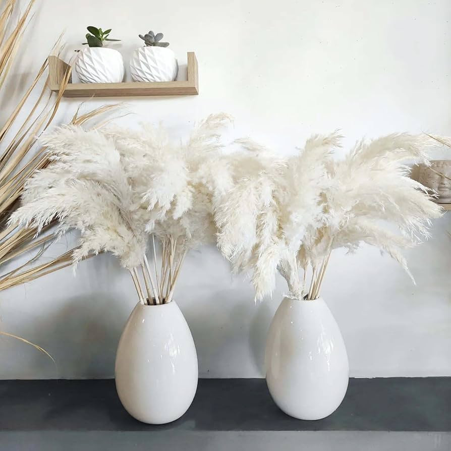 30 Stems 28" inch Large White Pampas Grass Fluffy, Boho Home Decor, Natural Fluffy Pompas Grass P... | Amazon (US)
