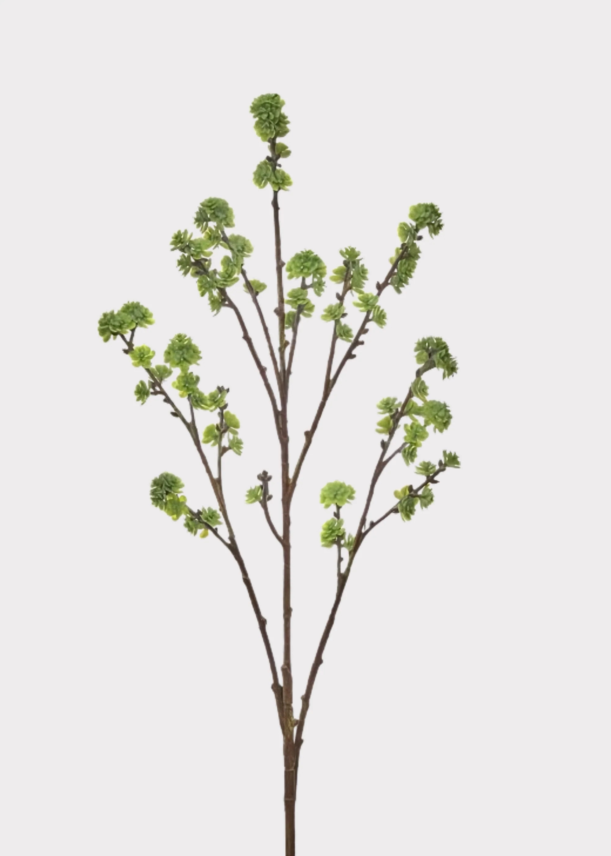 Green Fake Budding Citrus Blossom Branch - 36 | Afloral