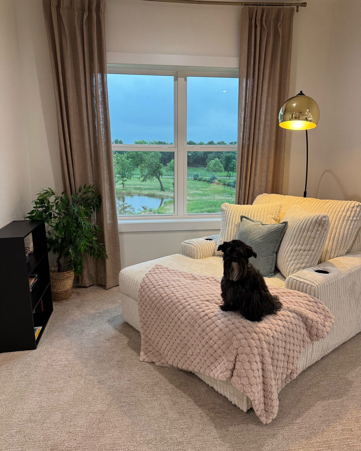My little reading nook 😌 #readingnook #cozyvibes #books #cozynook

#LTKHome