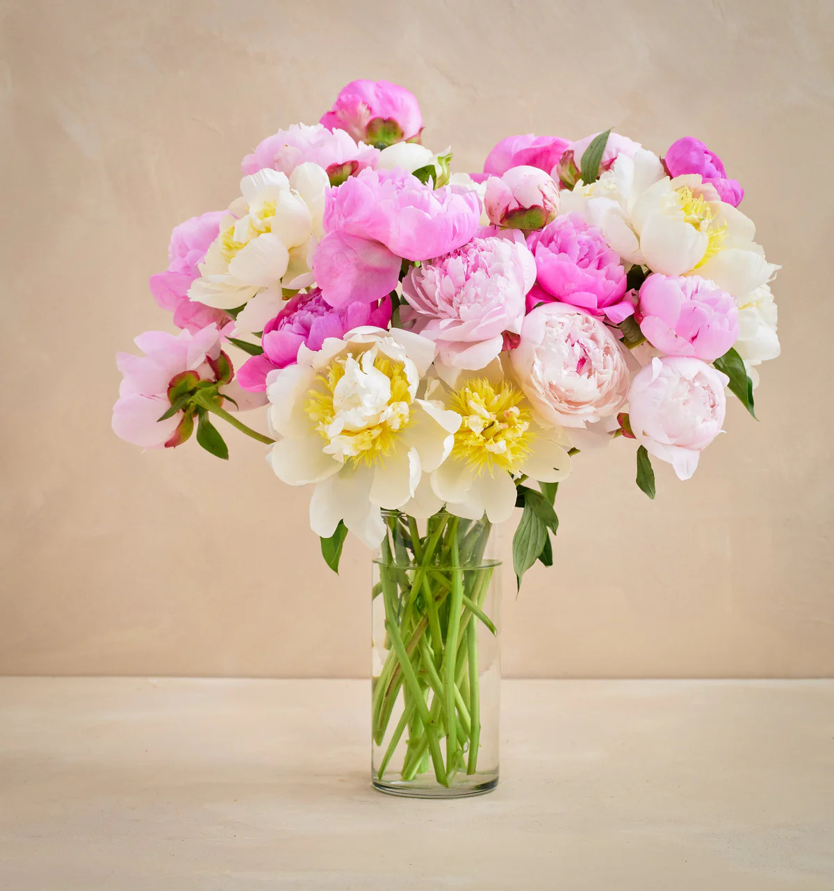 Double the Grower's Choice Peony | UrbanStems