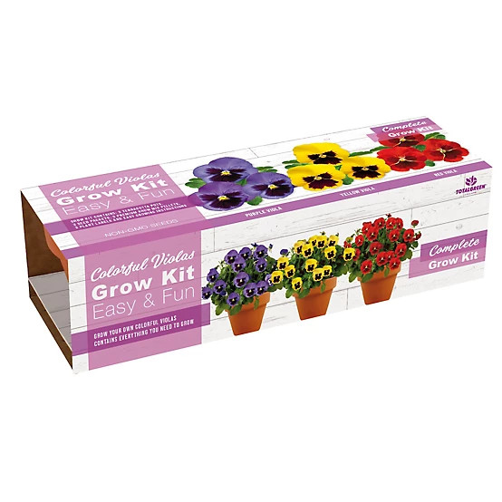 TotalGreen Holland  Viola Terra Cotta Grow Kit | Tractor Supply