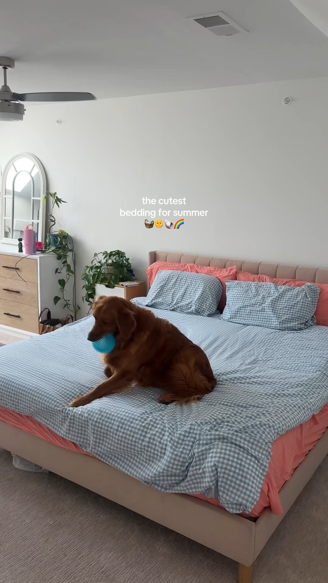 cutest bedding !!! 

#LTKFamily #LTKSeasonal #LTKHome