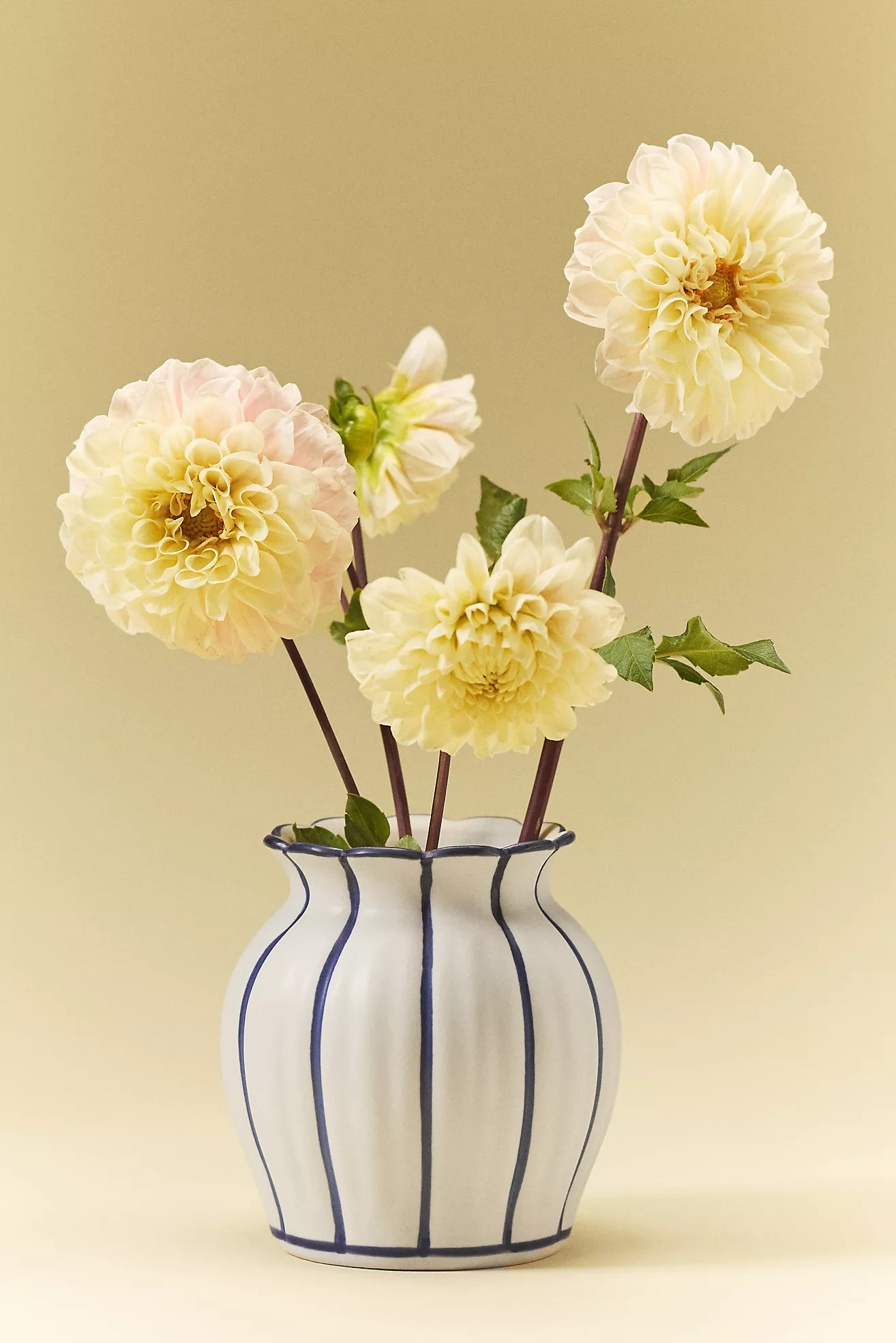 Emma Clay Vase | Anthropologie (US)