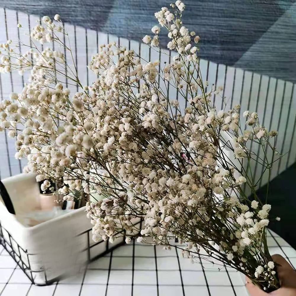 Amazon.com: 50cm Flower Small Natural Dried Flowers Bouquet DIY Bouquet Decorative Photography Ph... | Amazon (US)