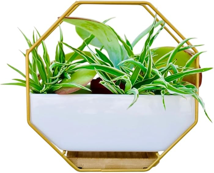 IRYL Wall Planter for Indoor Plants - Ceramic Wall Hanging Planter Set with Bamboo Tray & Hooks -... | Amazon (US)