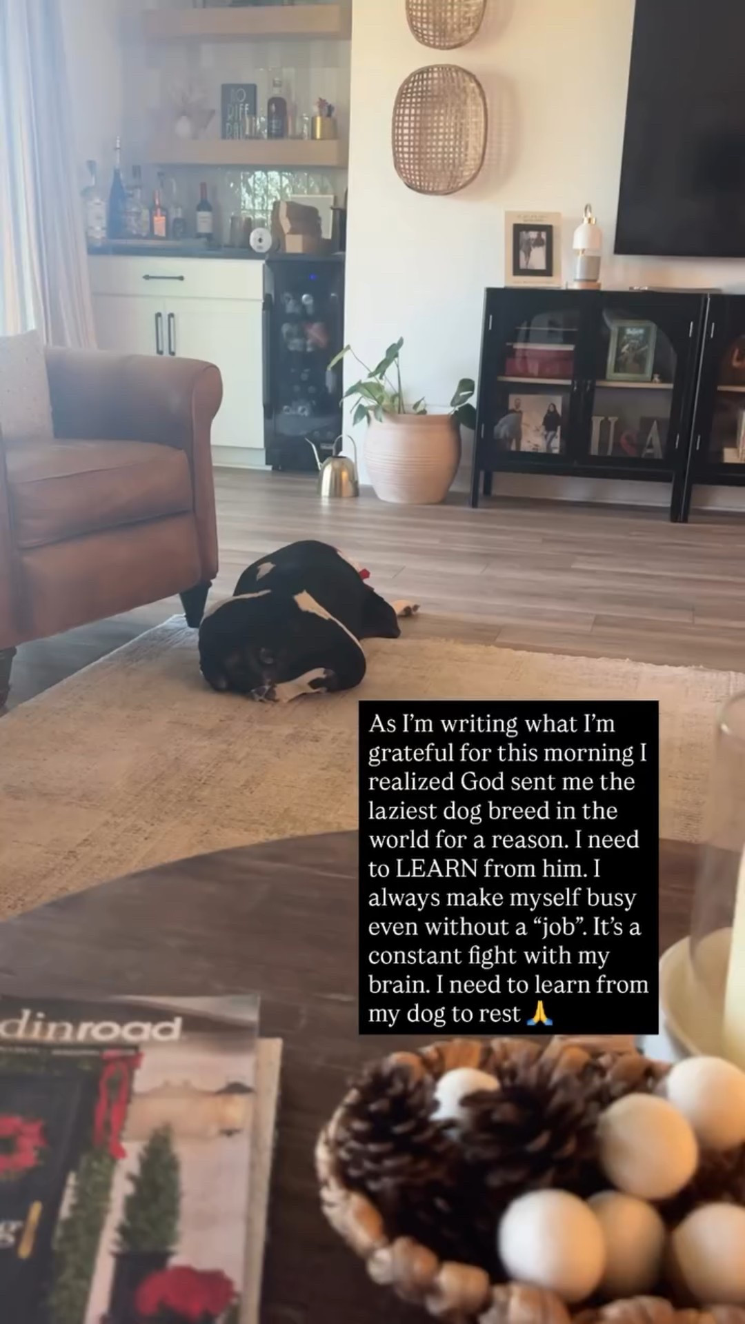 As I’m writing what I’m grateful for this morning I realized God sent me the laziest dog breed in the world for a reason. I need to LEARN from him. I always make myself busy even without a “job”. It’s a constant fight with my brain. I need to learn from my dog to rest 🙏