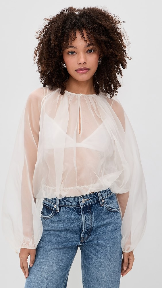 The Sheer Balloon Blouse | Shopbop