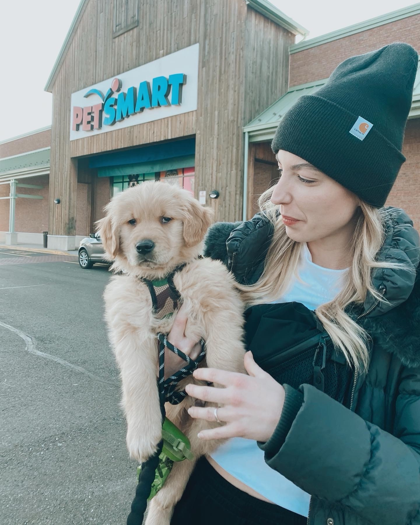 @thegolden.asher ‘s first trip to #petsmart! #goldenretriever #puppy #dogmom

#LTKfamily #LTKhome #LTKtravel
