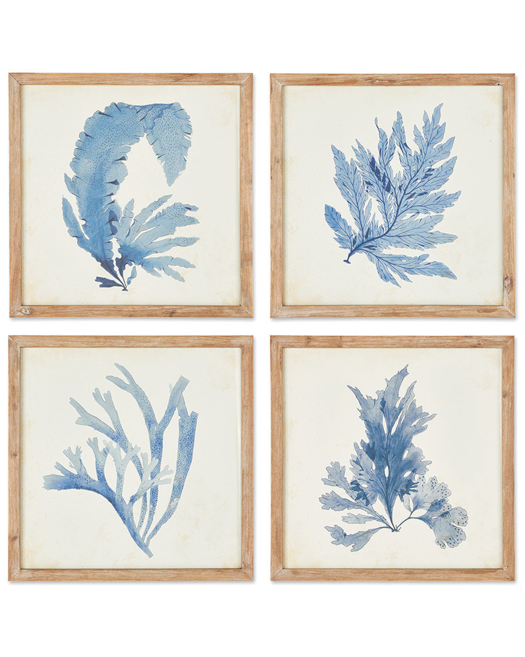 Set of 4 Coral Watercolor Prints | Gilt & Gilt City