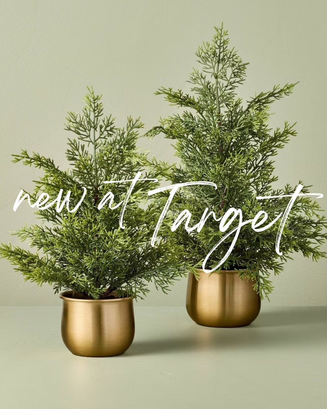 New at Target

#LTKSeasonal #LTKHome