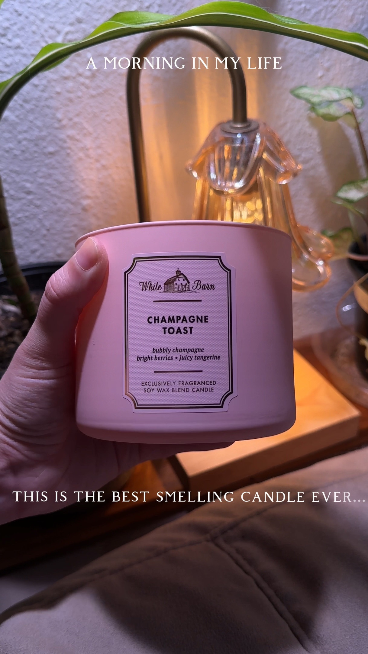 I always come back to this scent, it make my house smell amazing! 

 #LTKGiftGuide #LTKHome #LTKFindsUnder50