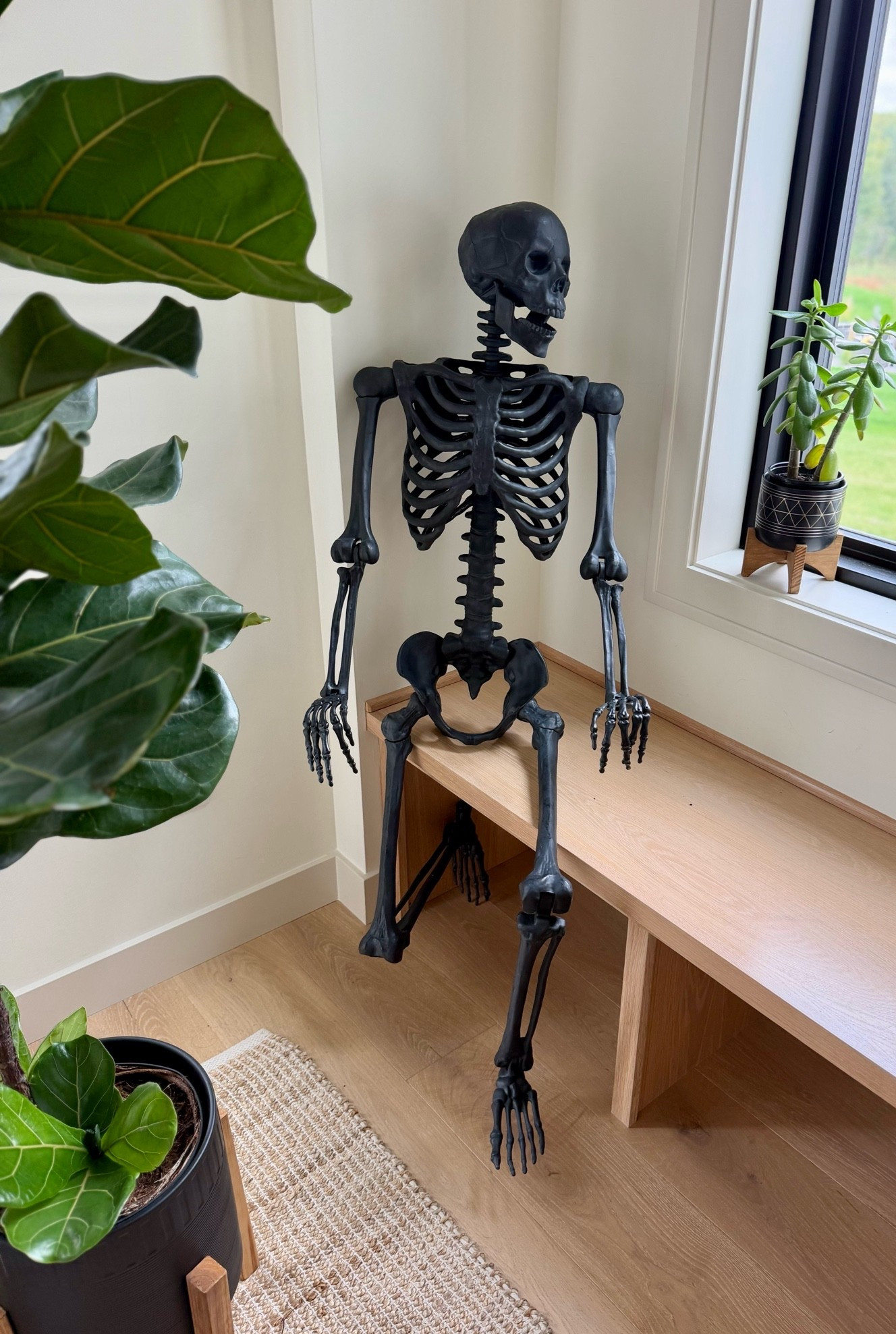 fall decor 🍁 
  

Halloween decor
Black skeleton
Serena and lily
Hearth and hand candle
Faux stems 
Albany park
Living room decor
Organic modern home decor
Neutral living room
Annie selke
Jute rug
Target Halloween
Fig 
#LTKdayinmylife
#LTKgrwm
#LTKselfcare
#LTKfitnessgoals
#LTKmorningroutine
#LTKstorytime
#LTKfoodie
#LTKvlog
#LTKSeasonal
#LTKActive
#LTKU
#LTKHome
#LTKPetite
#LTKTall
#LTKMidsize
#LTKWorkwear
#LTKTravel
#LTKBump
#LTKBeauty
#LTKSeasonal
#LTKWedding

#LTKHome #LTKOver40 #LTKmomlife

https://liketk.it/6onIc

#LTKmomlife #LTKHome #LTKKids