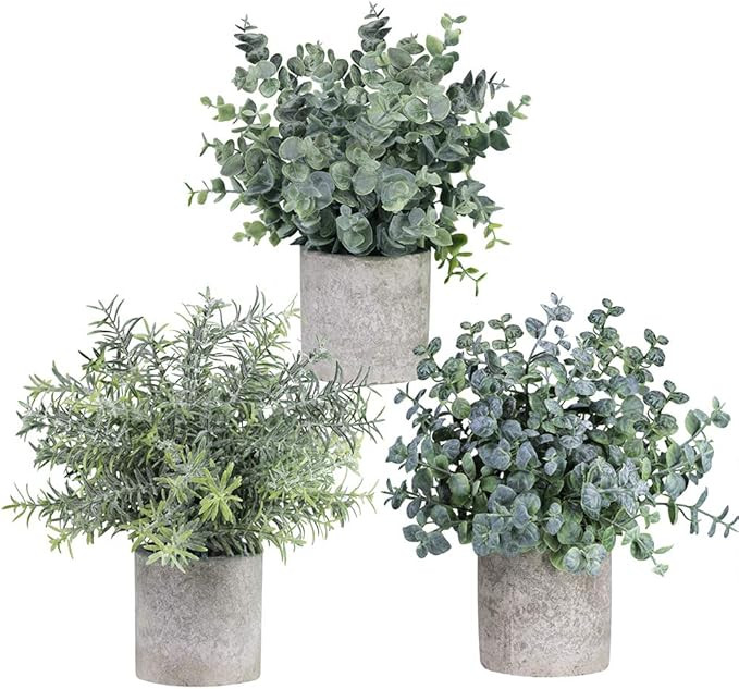 Winlyn Set of 3 Mini Potted Artificial Eucalyptus Plants Plastic Fake Green Rosemary Plant for Ho... | Amazon (US)