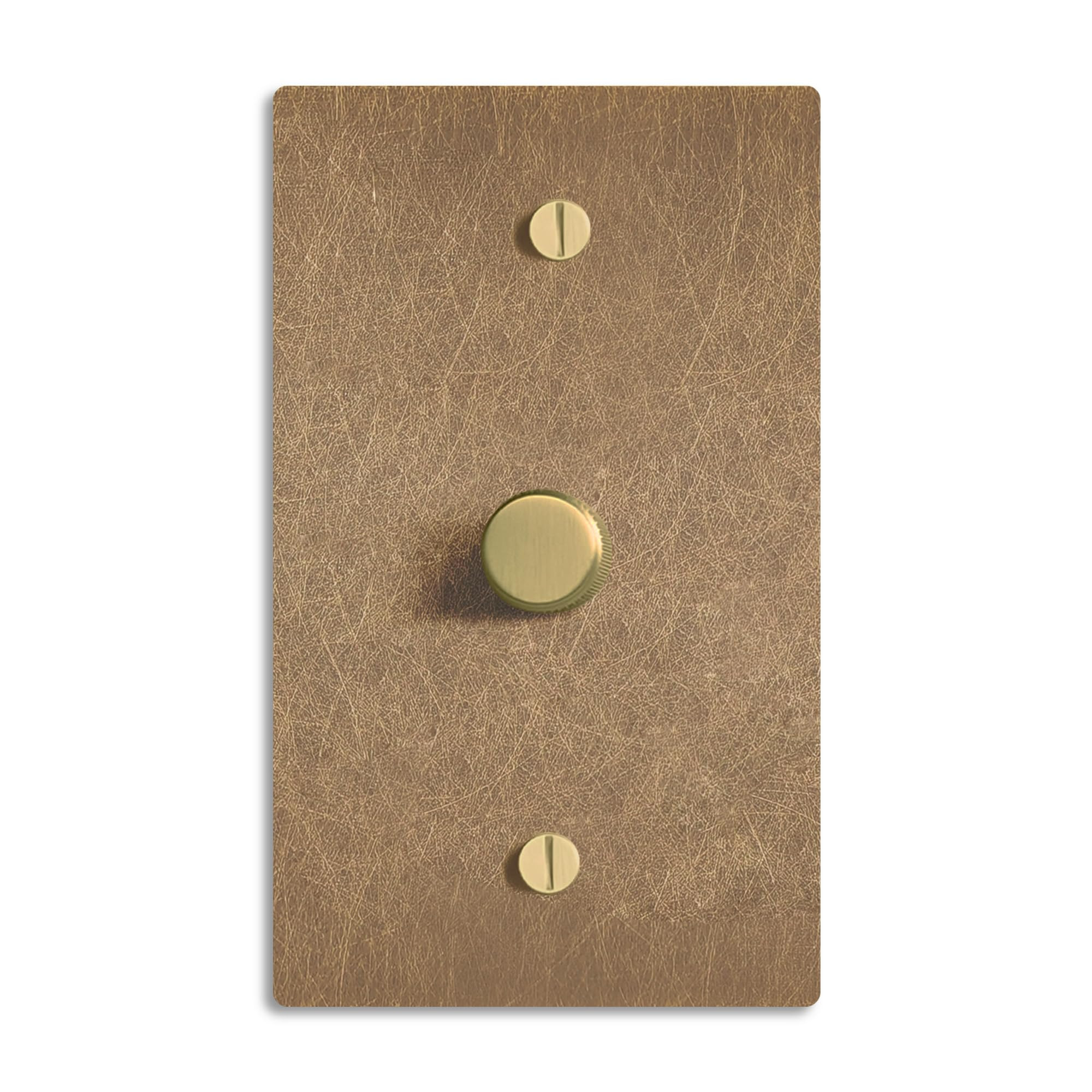 SELECT Vintage Brass Dimmer Light Switch, 1 Way Rotary Dimmer, 1 Gang TRIAC/Leading Edge Dimmable... | Amazon (US)