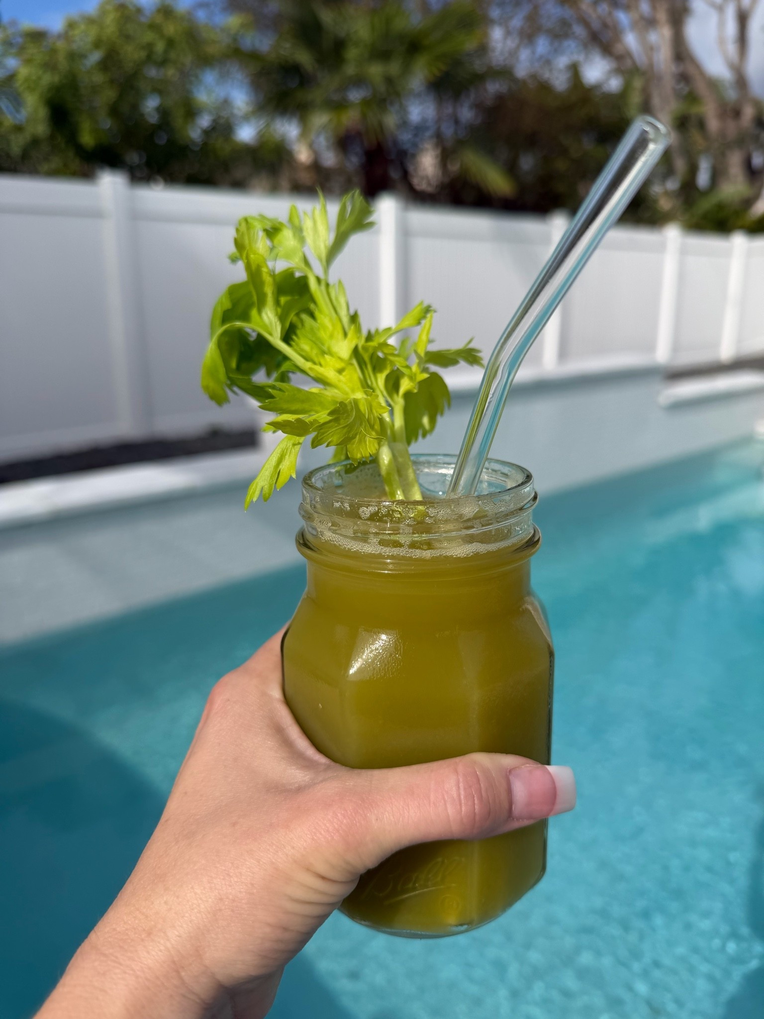 BEST Juicer ever!! 
Always starting the day with celery juice💚

Self care, kitchen essentials, morning routine.

#LTKmorningroutine #LTKfoodie #LTKselfcare