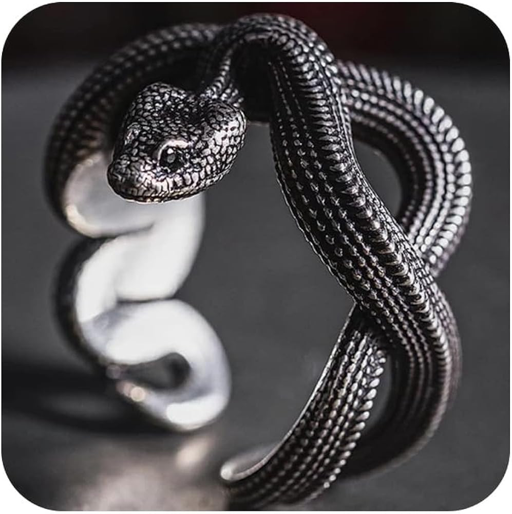 SUKKCCNO Vintage Gothic Black Snake Ring for Women Men Handmade Stainless Steel Serpent Reptile O... | Amazon (US)