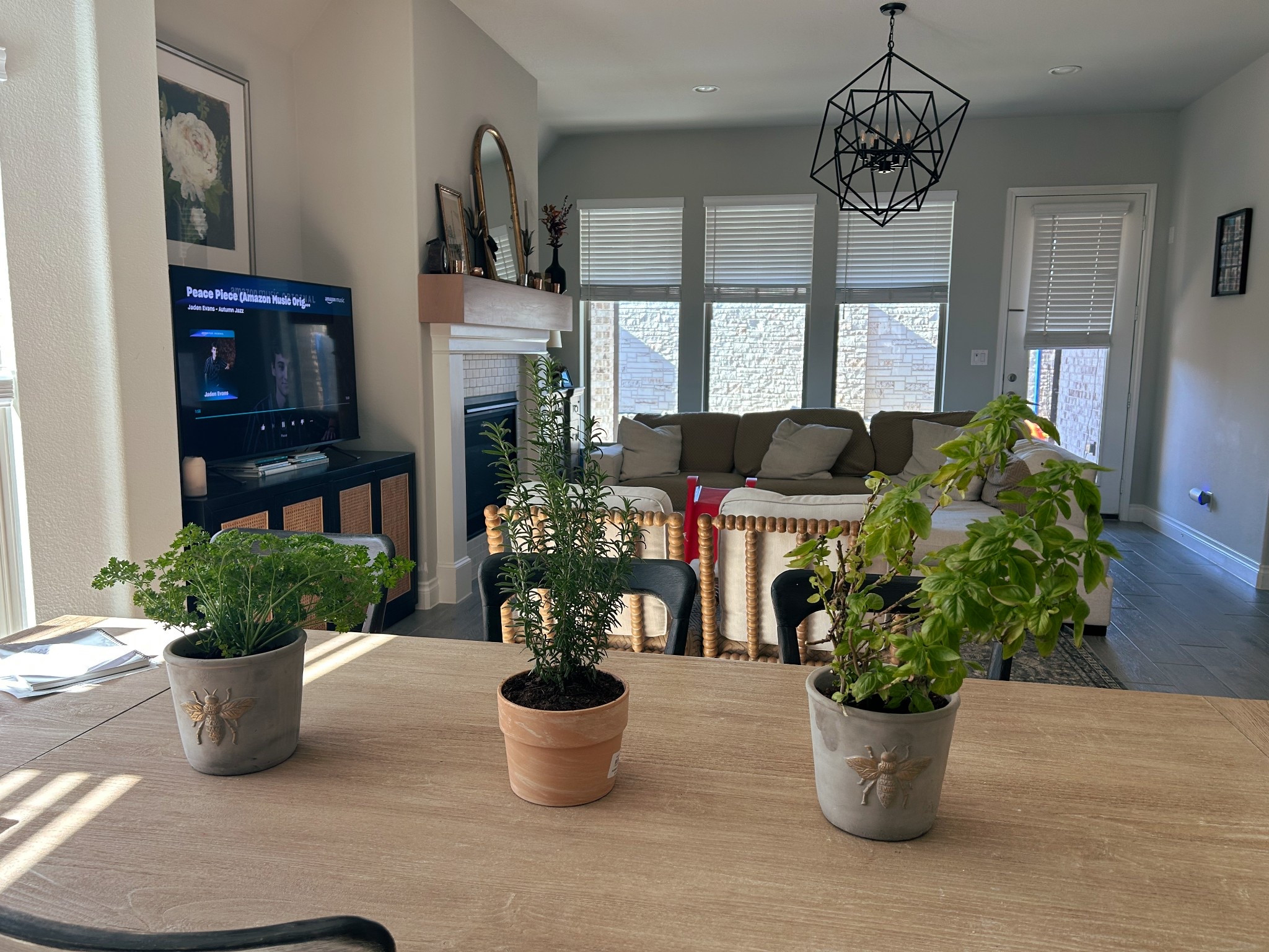 #gardening #pottedplants #wayfair #pots #herbplants #livingroom #diningtable #herbgarden

#LTKHome #LTKFindsUnder50 #LTKdayinmylife