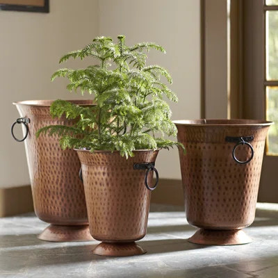 Hammered Copper Planters | Wayfair North America