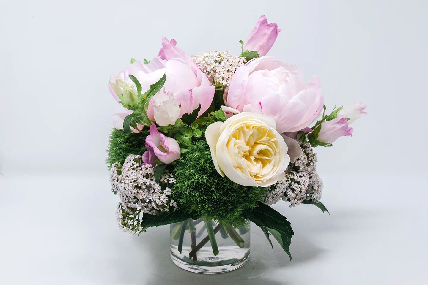 Pink and White | Lucy's Market