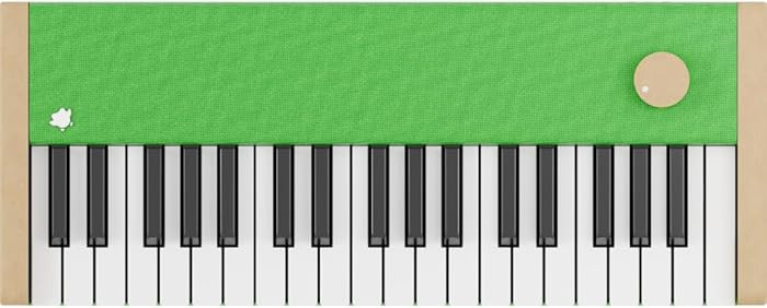 Loog Digital Piano - Portable Keyboard for Beginners with Musician Grade Sound, MIDI Over USB-C R... | Amazon (US)