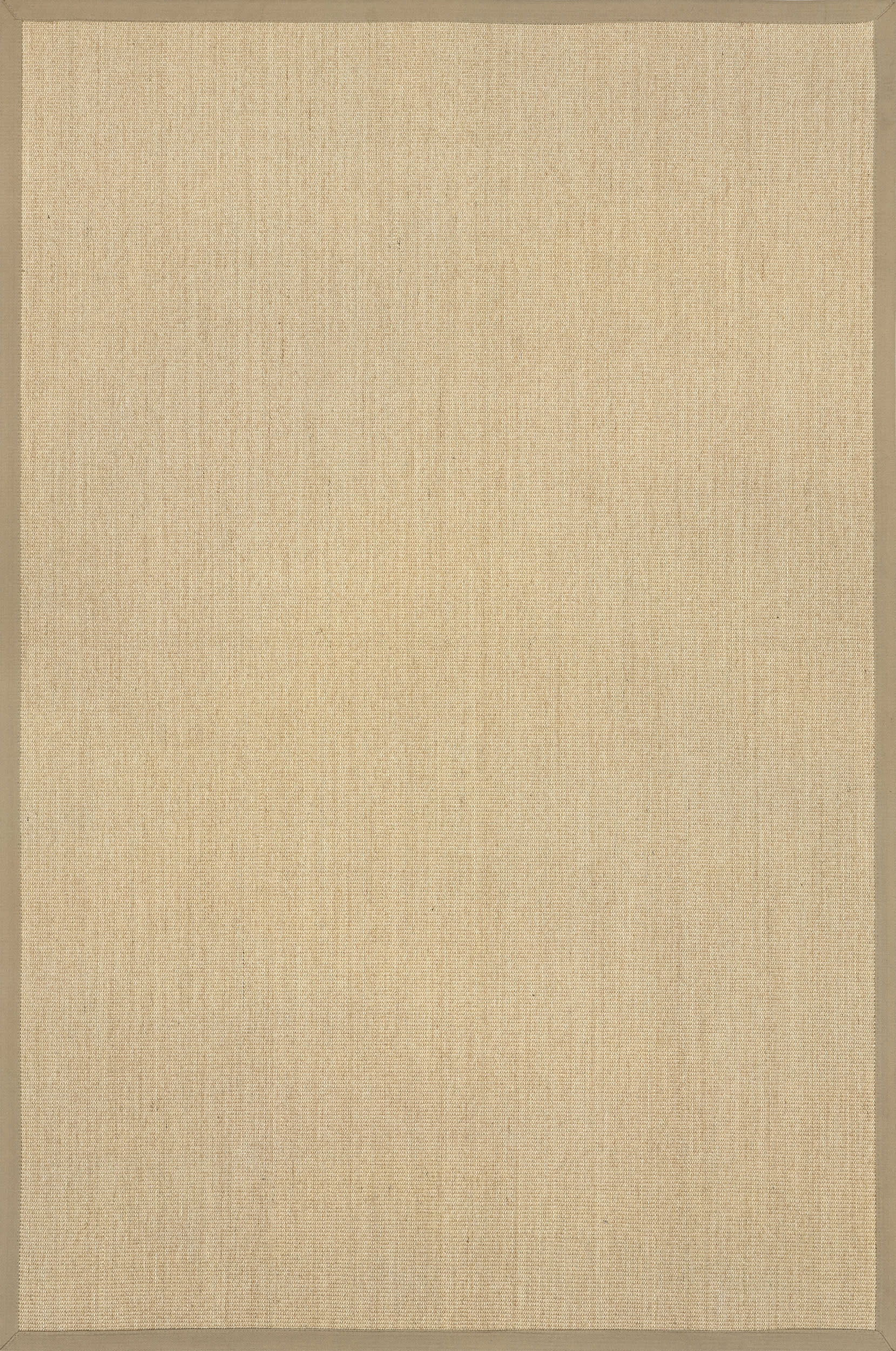 Beige Sisal Border 8' x 10' rug | Rugs USA