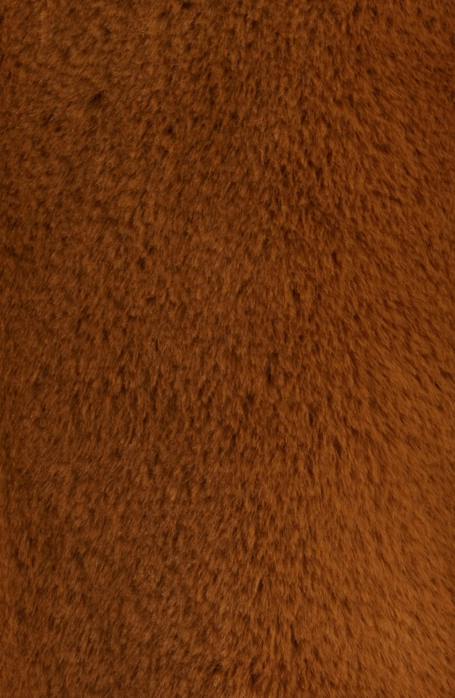 Faux Fur Jacket | Nordstrom