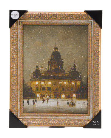 20x16 Ice Skating Framed Art | Marshalls
