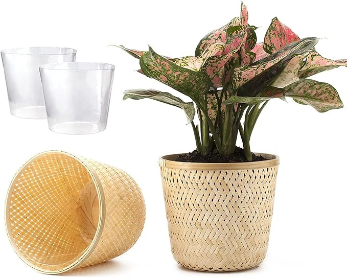 Fingers Craft Natural Plant Pot Indoor, 6 inch Set of 2 Small Medium Flower Pots, Bamboo Planter ... | Amazon (US)