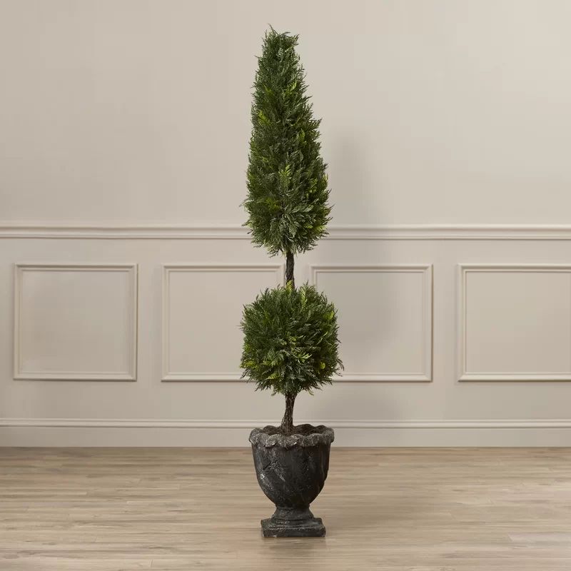 Boxwood Topiary in Decorative Vase | Wayfair North America