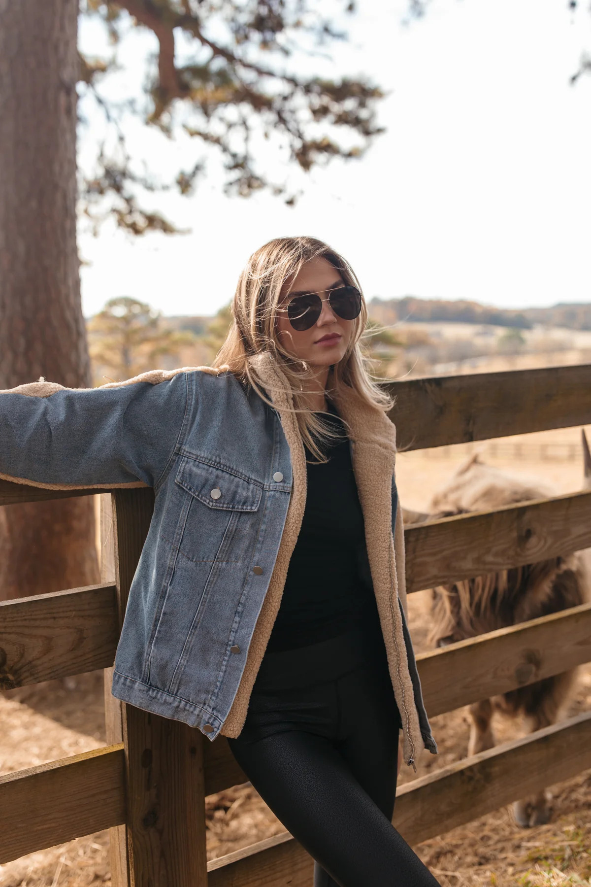 Melina Denim & Sherpa Jacket | The Post