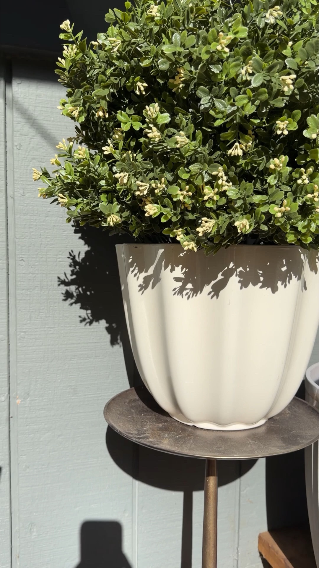 Resin/plastic planters

#LTKHome