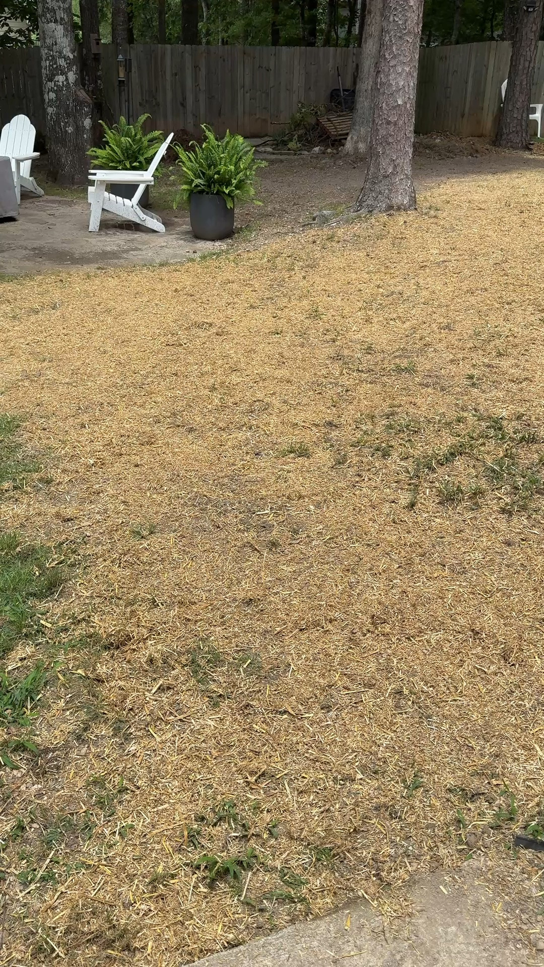 Supplies I used to prep and
 Seed this part of our yard. 

If your soil needs to be amended be sure to add lawn soil and work it into the tilled up soil before seeding.
The amount of seed you need will depend on the size of the area you need to cover.

#LTKSeasonal #LTKHome #LTKmomlife