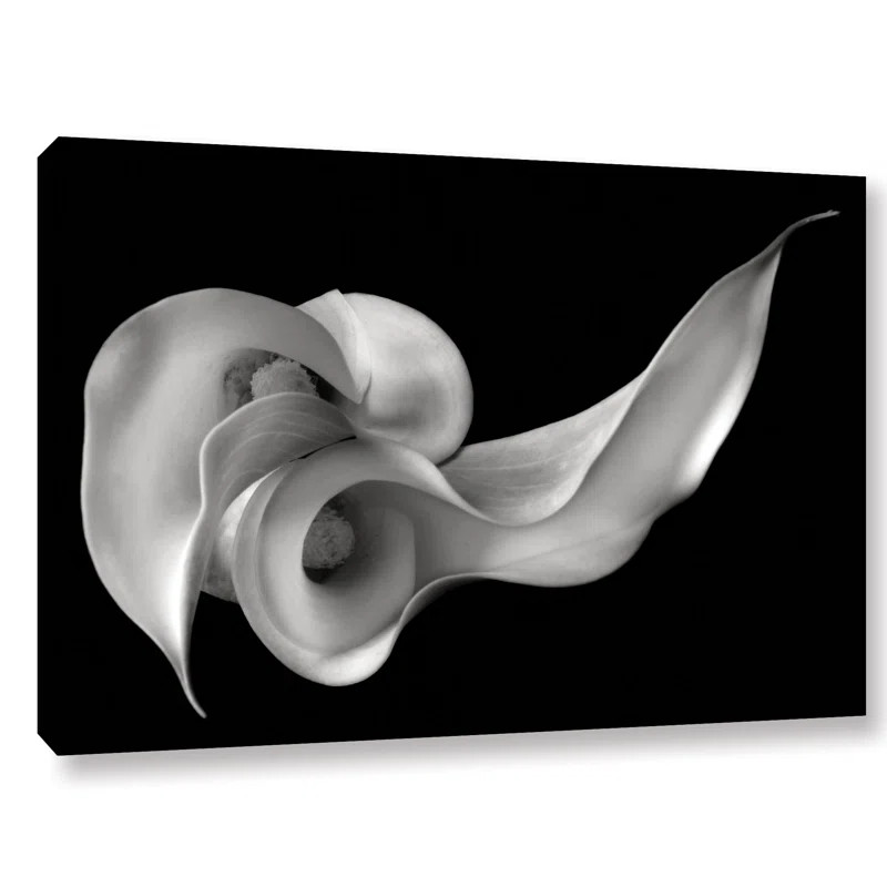 Calla Lily - Print on Canvas | Wayfair North America