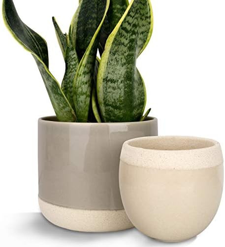 Ceramic Flower Plant Pots - 6.5 + 4.9 Inch Indoor Planters, Plant Containers with Beige and Crack... | Amazon (US)