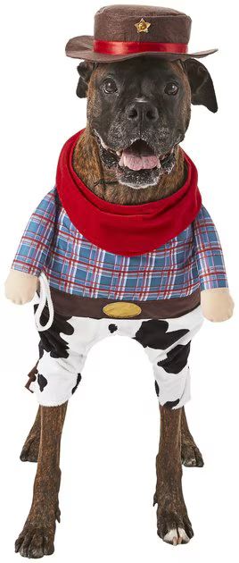 FRISCO Front Walking Cowboy Dog & Cat Costume, XXX-Large - Chewy.com | Chewy.com