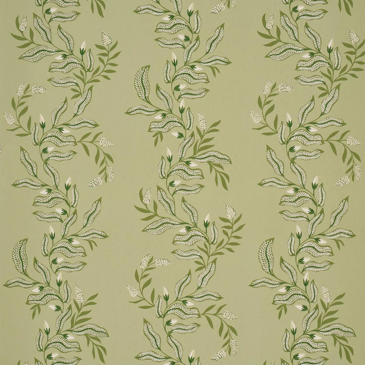 Schumacher Vagary Vines Honeydew Wallpaper | DecoratorsBest