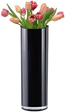 CYS Excel Black Glass Cylinder Vase (H:12" D:4") | Multiple Size Choices Glass Flower Vase Center... | Amazon (US)