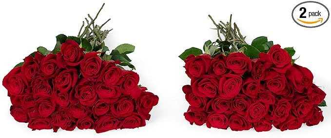 Benchmark Bouquets 50 Stems of Red Roses, Next Day Prime Delivery, No Vase, Farm Direct Fresh Flo... | Amazon (US)