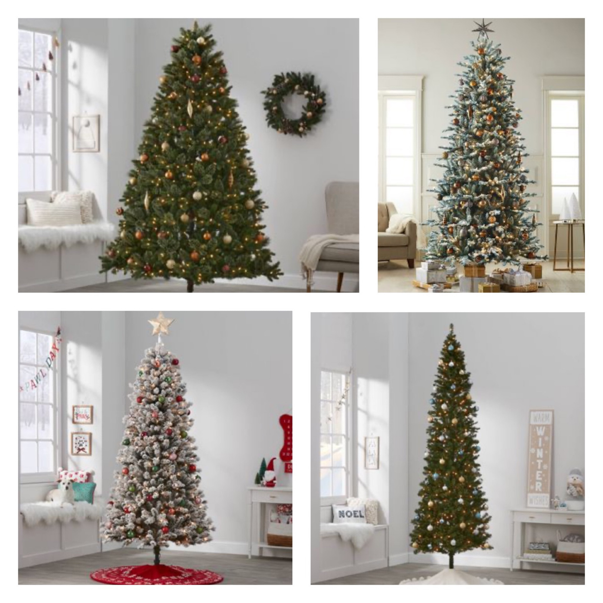 50% OFF all Christmas Trees! 🎄🙌🏼🤯 #blackfriday

#LTKCyberweek #LTKGiftGuide #LTKHoliday