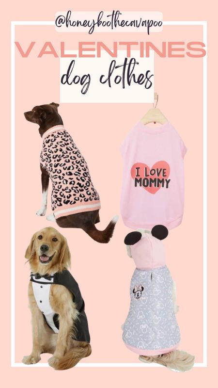 #pets #petfinds 

Dog must haves 
Pet favorite 
Dog clothes
 Valentine 


#LTKSeasonal #LTKsalealert #LTKGiftGuide