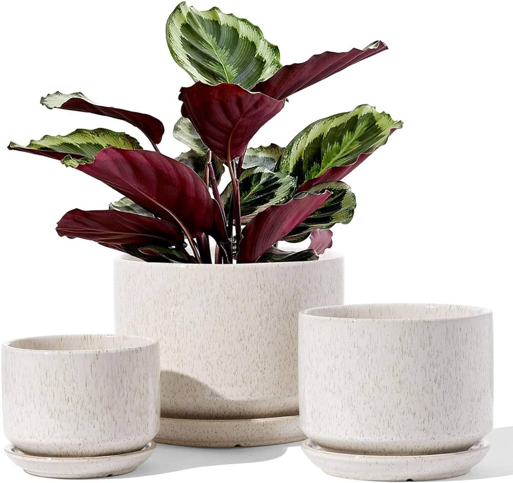 LE TAUCI Ceramic Plant Pots, 4.3+5.3+6.8 inch, Set of 3, Planters with Drainage Hole and Saucer, ... | Amazon (US)