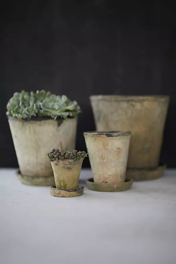Earth Fired Clay Herb Pot + Saucer Set | Terrain